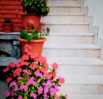 Celina Apartamento | Apartments Cvita