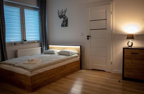 Czestochowa Apartamento | Apartments Częstochowa - Nova Bursa - Parking free!