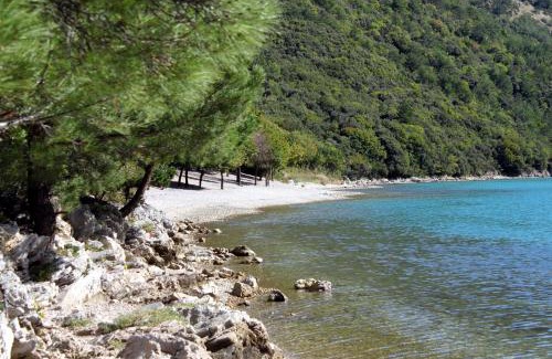 Krsan Apartamento | Apartments for families with children Blaskovici, Central Istria - Sredisnja Istra - 12398