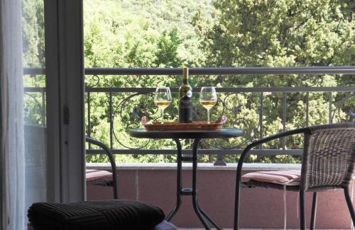 Baosici Casa | Apartments Gvozdenovic