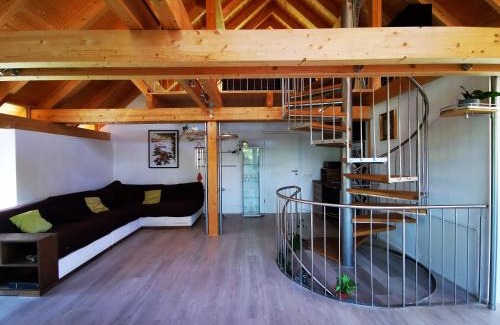Feichten Casa | Apartments in Blockhaus im Wald