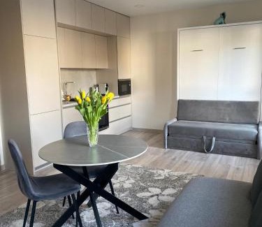 Kaunas Apartamento | Apartments in the center