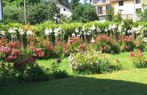 Kiseljak Apartamento | Apartments Kenedy