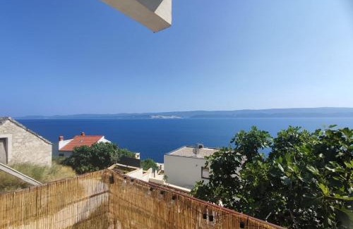 Celina Apartamento | Apartments KK