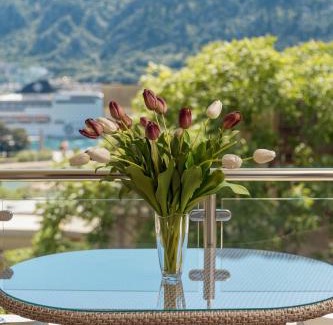 Kotor Apartamento | Apartments Los Olivos