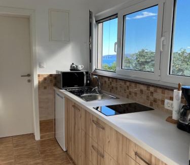 Donji Kraj Apartamento | Apartments Mandic - Učka