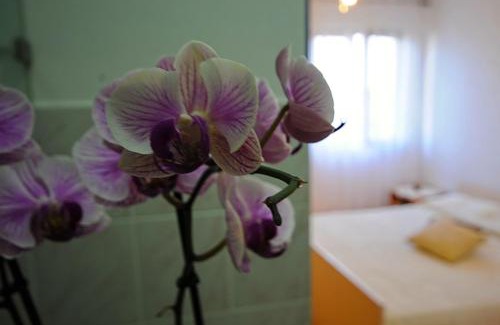 Bibinje Apartamento | Apartments Marija
