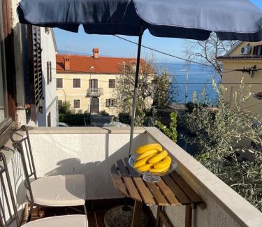 Volosko Apartamento | Apartments Matacin with Sea View