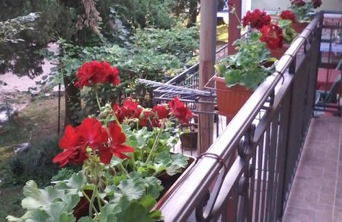 Virpazar Apartamento | Apartments Olga