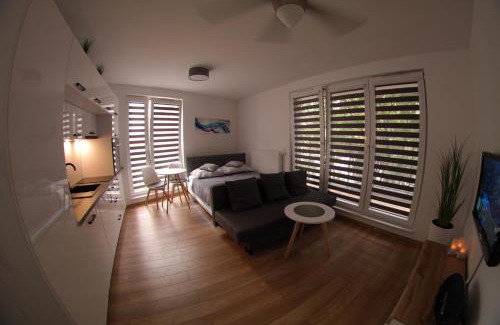 Grzegorzki Apartamento | Apartments Olit Bajeczna