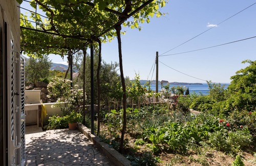 Brasina Apartamento | Apartamentos Olive - Apartamento de un dormitorio con terraza y vistas parciales al mar - Popolica 50