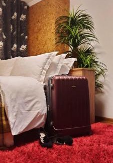 Ternopil's'ka oblast Apartamento | Apartments on Festyvalna street