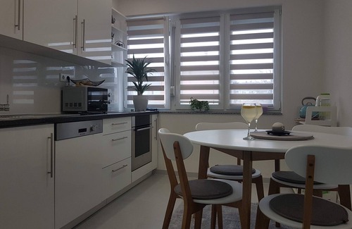 Mali Radic Apartamento | Apartments Pleša - One Bedroom Apartment in City Center