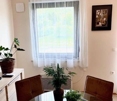 Kobarid Apartamento | Apartments Pri nas
