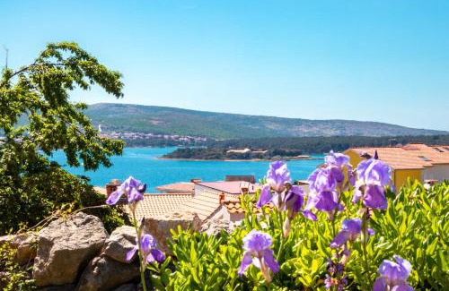Kornic Apartamento | Apartments Sandra