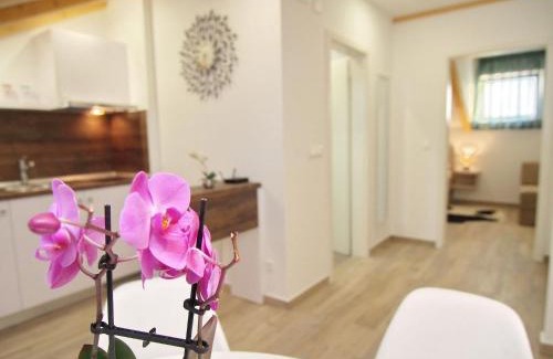 Gornji Kono Apartamento | Apartments Sweet Escape - Studio Apartment with Terrace and Sea View 1