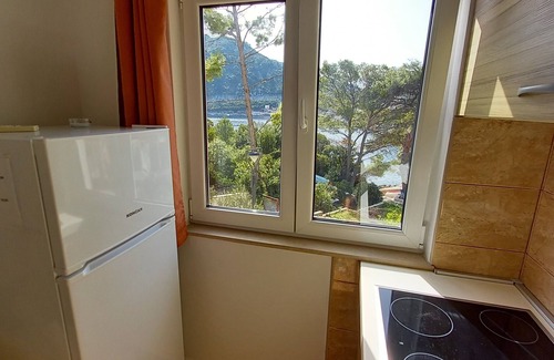 Sobra Apartamento | Apartamentos Vinko Mljet- Apartamento de 1 dormitorio con terraza