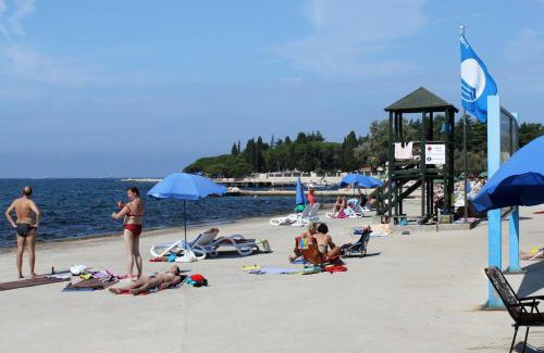 Kastelir Apartamento | Apartments with a parking space Kastelir, Central Istria - Sredisnja Istra - 17528