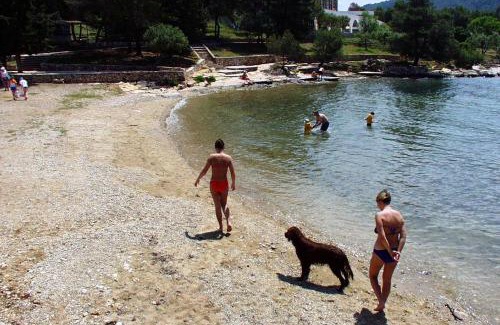 Stari Grad Apartamento | Apartments with a parking space Stari Grad, Hvar - 8686