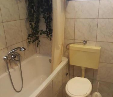 Mirce Apartamento | Apartments with a parking space Mirca, Brac - 15683