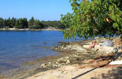 Krizine Apartamento | Apartments with a parking space Sveti Ivan, Umag - 22472