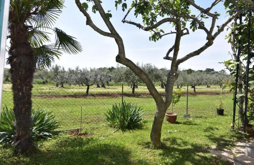 Krizine Apartamento | Apartments with a parking space Sveti Ivan, Umag - 22472