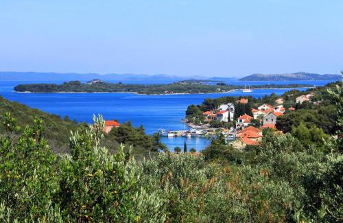 Zman Apartamento | Apartments with a parking space Zman, Dugi otok - 8133