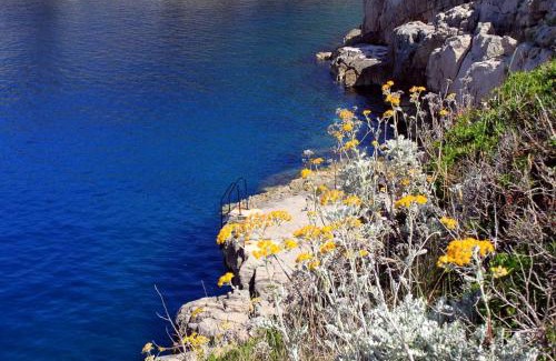 Veli Losinj Apartamento | Apartments with parking space Veli Losinj, Losinj - 8029