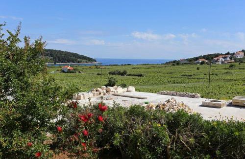 Vela Glavica Apartamento | Apartments with parking space Lumbarda, Korcula - 4429