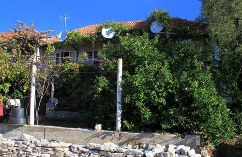 Vela Glavica Apartamento | Apartments with parking space Lumbarda, Korcula - 9262