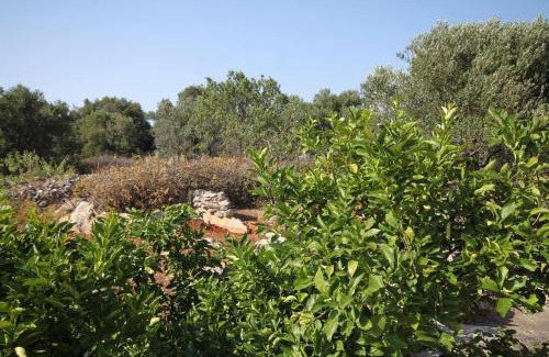 Bozava Apartamento | Apartments with parking space Bozava, Dugi otok - 8124