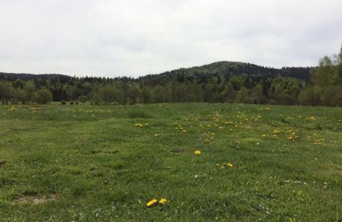 Lokve Apartamento | Apartments with parking space Lokve, Gorski kotar - 20236