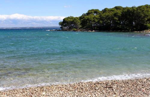 Batalaza Apartamento | Apartments with parking space Ugljan - 15613
