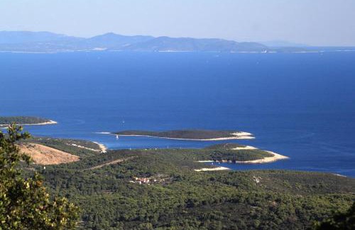 Rukavac Apartamento | Apartments with parking space Rukavac, Vis - 2407