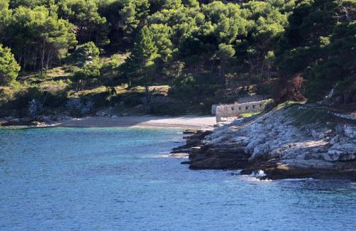 Cove Rogacic Apartamento | Apartments with WiFi Vis - 8843