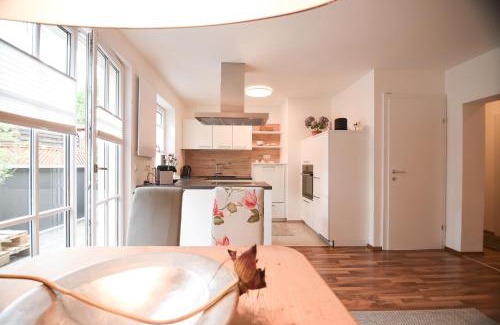 Waidhofen An Der Ybbs Apartamento | Apartments Zum Ybbsturm