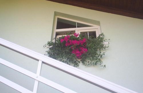 Catrnja Apartamento | Apartments Zafran