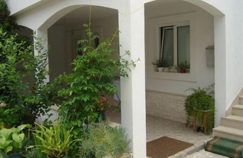 Vis Apartamento | Apartments Zoki