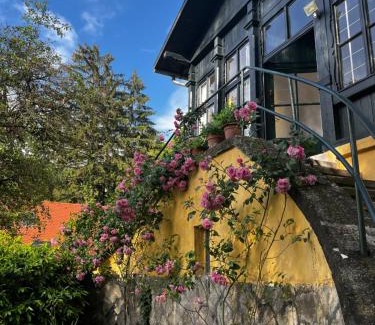 Szentendrei Apartamento | ApartmentVillaSolomon7 - Dunakanyar Apartman Visegrád Panorámás