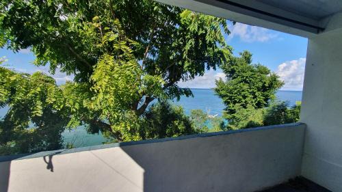 Bahia Suroeste Apartamento | APARTO-STUDIO JUNTO AL MAR Blue Lizard Studio