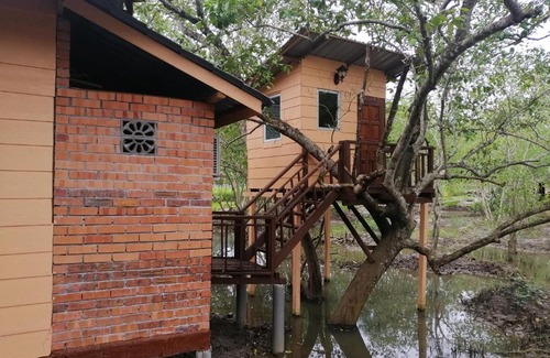 Kuala Teriang Complejo | Api-api Eco Chalet