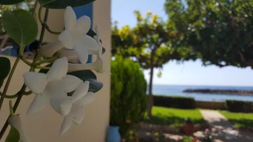 Fragkokastello Apartamento | Apolloneia Apartments