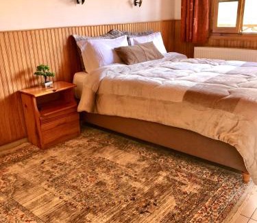 Metsovo Hotel | Apostolos Hotel