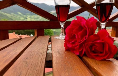 Metsovo Hotel | Apostolos Hotel