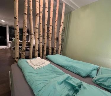 Hohegeiß Apartamento | App 624 Panoramic Hohegeiß Terrassenhaus