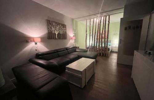 Hohegeiß Apartamento | App 624 Panoramic Hohegeiß Terrassenhaus
