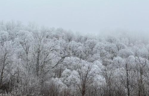 Wolf Laurel Casa | Appalachian Hideaway