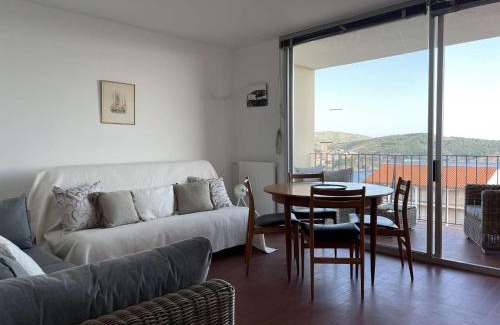 Banyuls-sur-Mer Apartamento | Appart 2 pièces 2 couchages BANYULS SUR MER BN100-C521