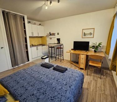 Montigny-les-Metz Apartamento | Appart 28m2 Metz Canal équipé meublé Wifi