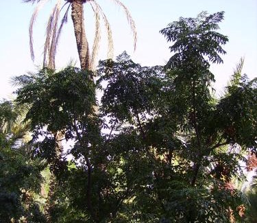 Majorelle Apartamento | Appart avec vue Jardin/Majorelle